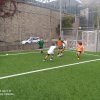Leva 2011 Polo